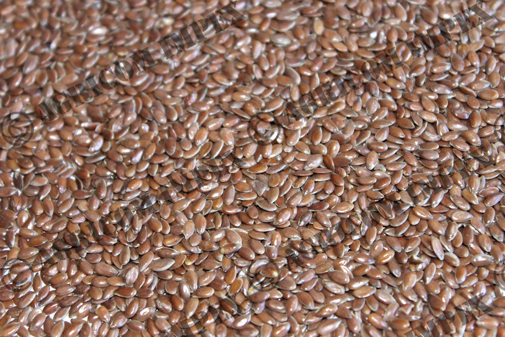 Linseed