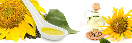 Oil Seeds